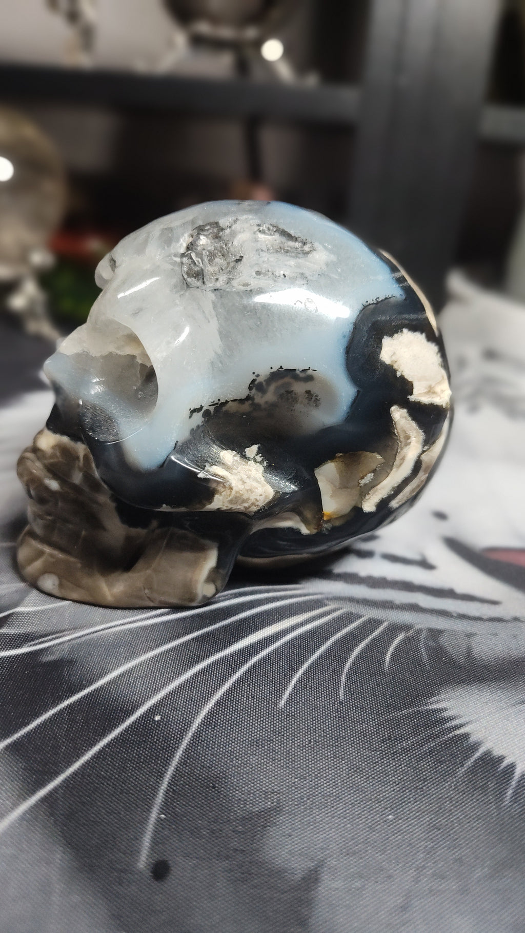 Volcanic Agate skull