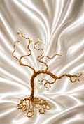 Bonsai Beauty