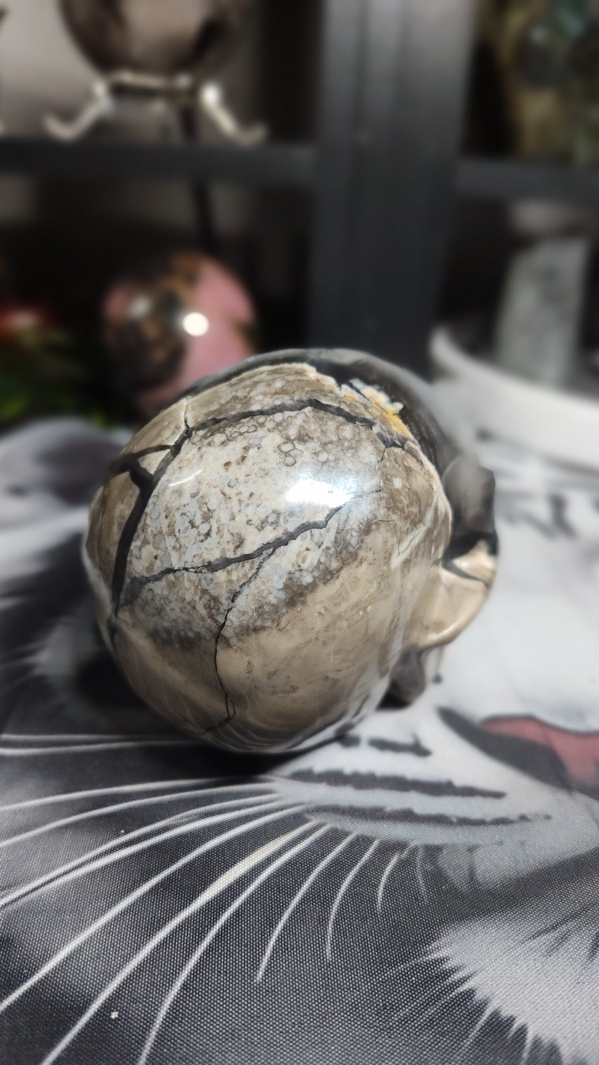 Volcanic Agate skull