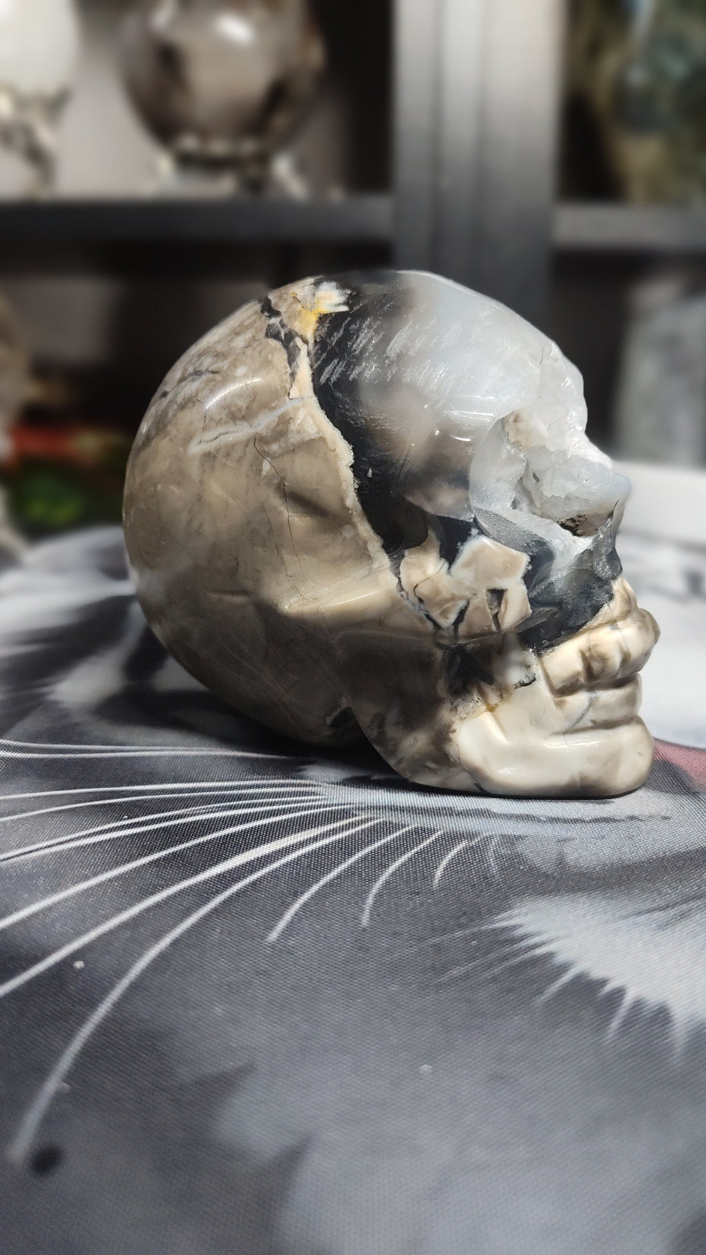 Volcanic Agate skull