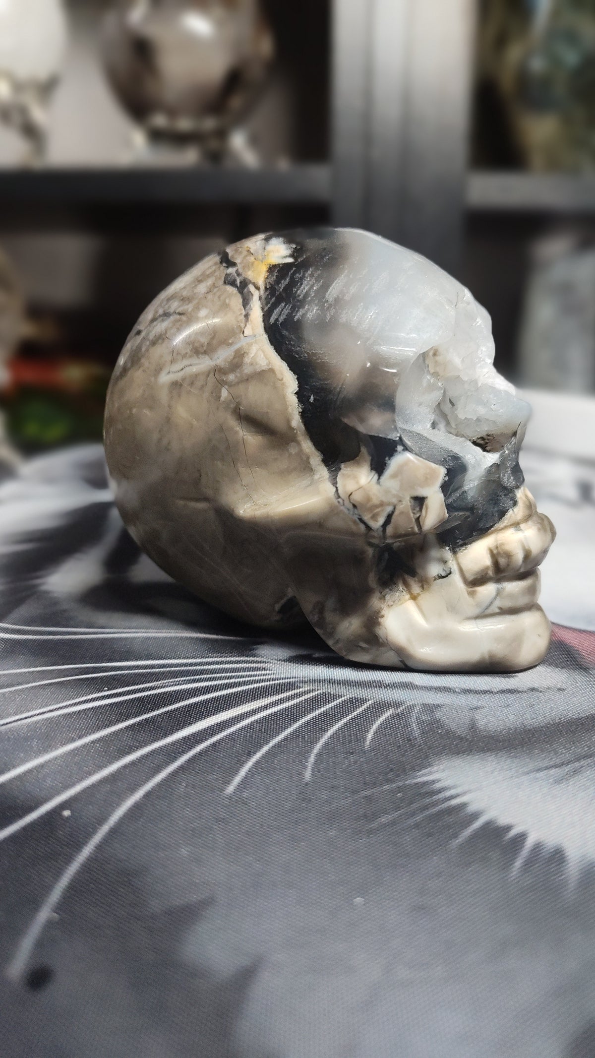 Volcanic Agate skull